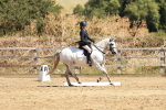 SBM_001538