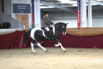 SBM_02918