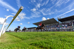220926-Race 5-Go Victor-7548