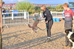 SBM_09647