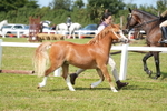 DSC05421