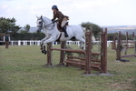 Class 24: Open Working Hunter portfolio