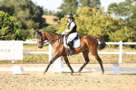 SBM_007868