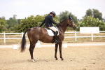SBM_007206