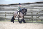 SBM_006476