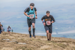 Black Combe-1068