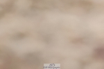 250622-124030-15217