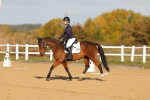SBM_008818