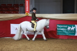 SBM_09381