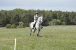 BVHT 140517  NXC -516