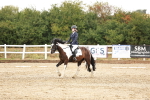 SBM_001503
