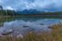 Lake Herbert