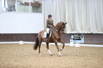 SBM_019587