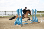 50cm showjumping portfolio