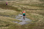 Sedbergh Hills-542
