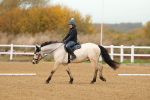 SBM_000582