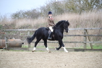 SBM_006020