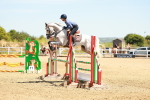 SBM_006562