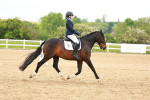 SBM_006634