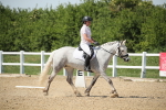 SBM_009700