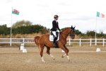 SBM_006286