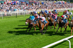 120725-Race 7-Aberama Gold-0615