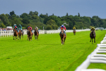 150723-Race 6-Robert Johnson-8808