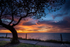 Vesteys Beach Sunset
