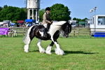 SBM_12133