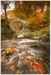 Foley's Bridge, Tollymore Forest (IMG0567)