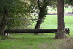 WJ6_1639