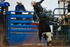 3HRodeo7-11-24_LJD_3HR2642_LJD