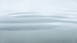 NEWFOUNDLAND portfolio