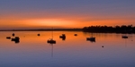 East Ferry1