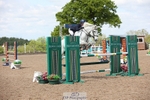 Cls 5 Pony Foxhunter and 1.10m Open portfolio