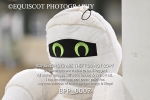 BPP_0007
