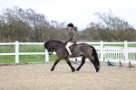 SBM_007445