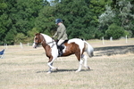 WJ7_2845