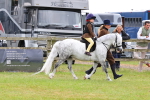 SBM_08253