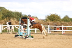 SBM_008503