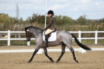 SBM_001883