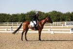 SBM_006863