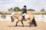SBM_03602