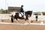 SBM_02033