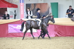 SBM_03348