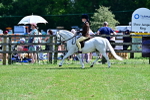 SBM_07778