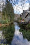 Grasmere