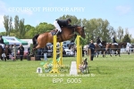 BPP_6005