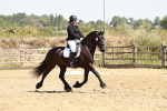 SBM_003448
