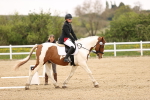 SBM_006898